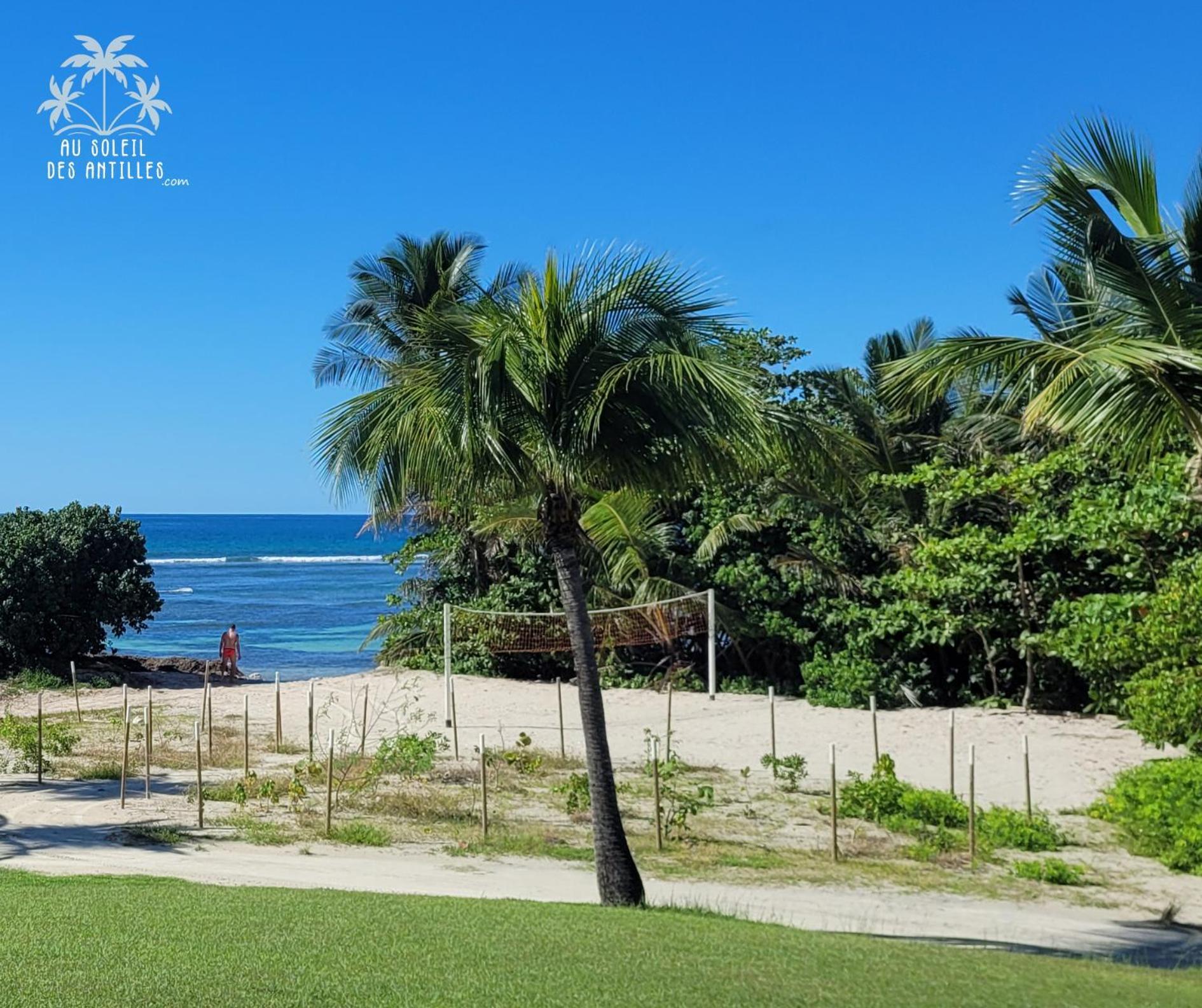 Studio Sable 2/4 Pers Face A La Mer Sainte-Anne  Exterior foto